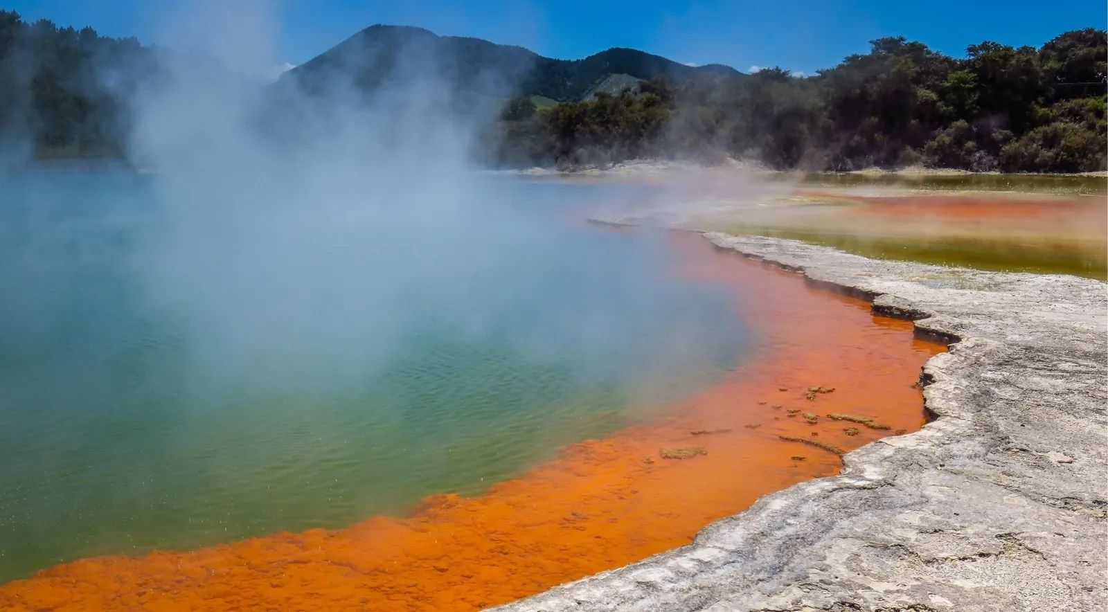 Wide view of the Champagne Pool at Wai-O-Tapu with steam drifting across the water toward forested hills