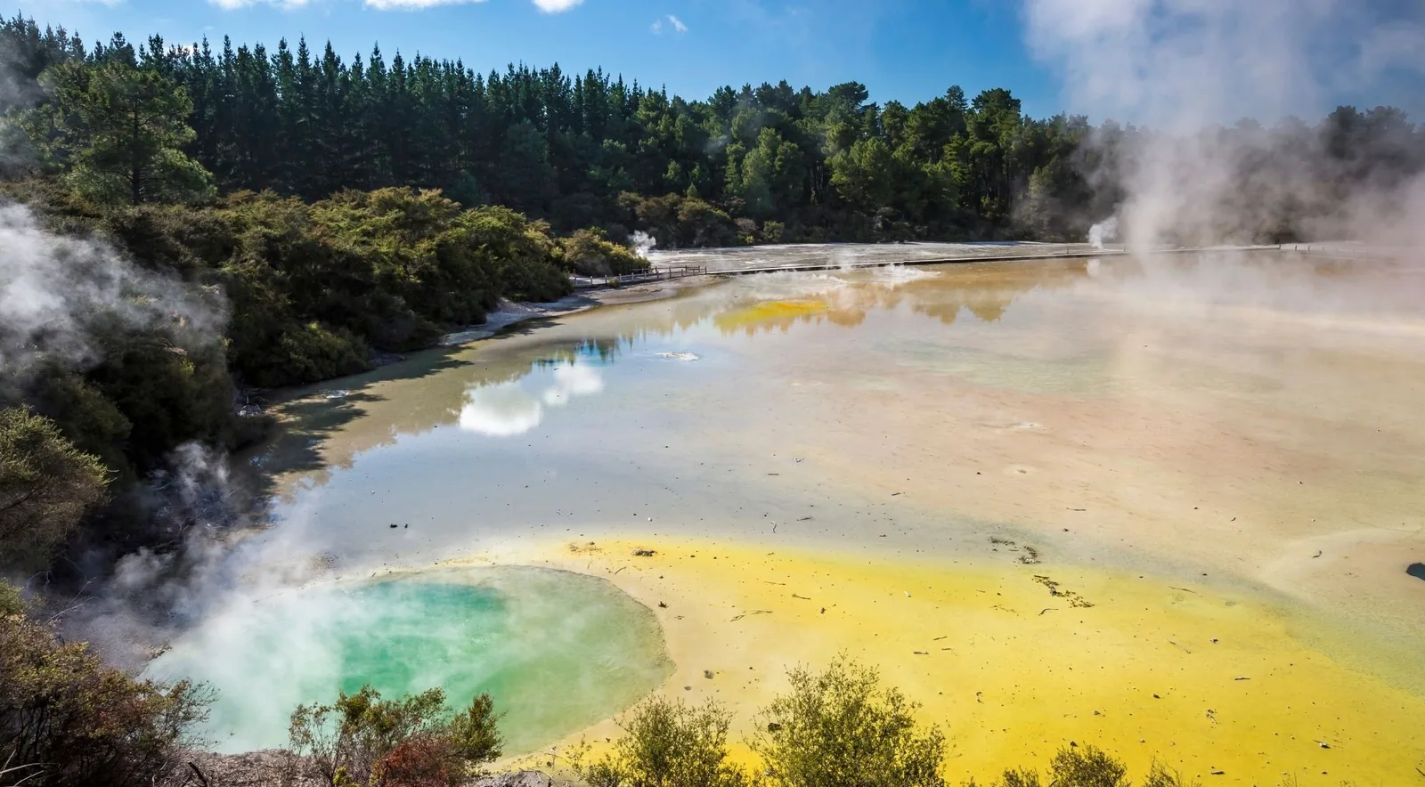 Artist's Palette at Wai-O-Tapu, a wide sinter flat streaked yellow, green and turquoise with steam rising