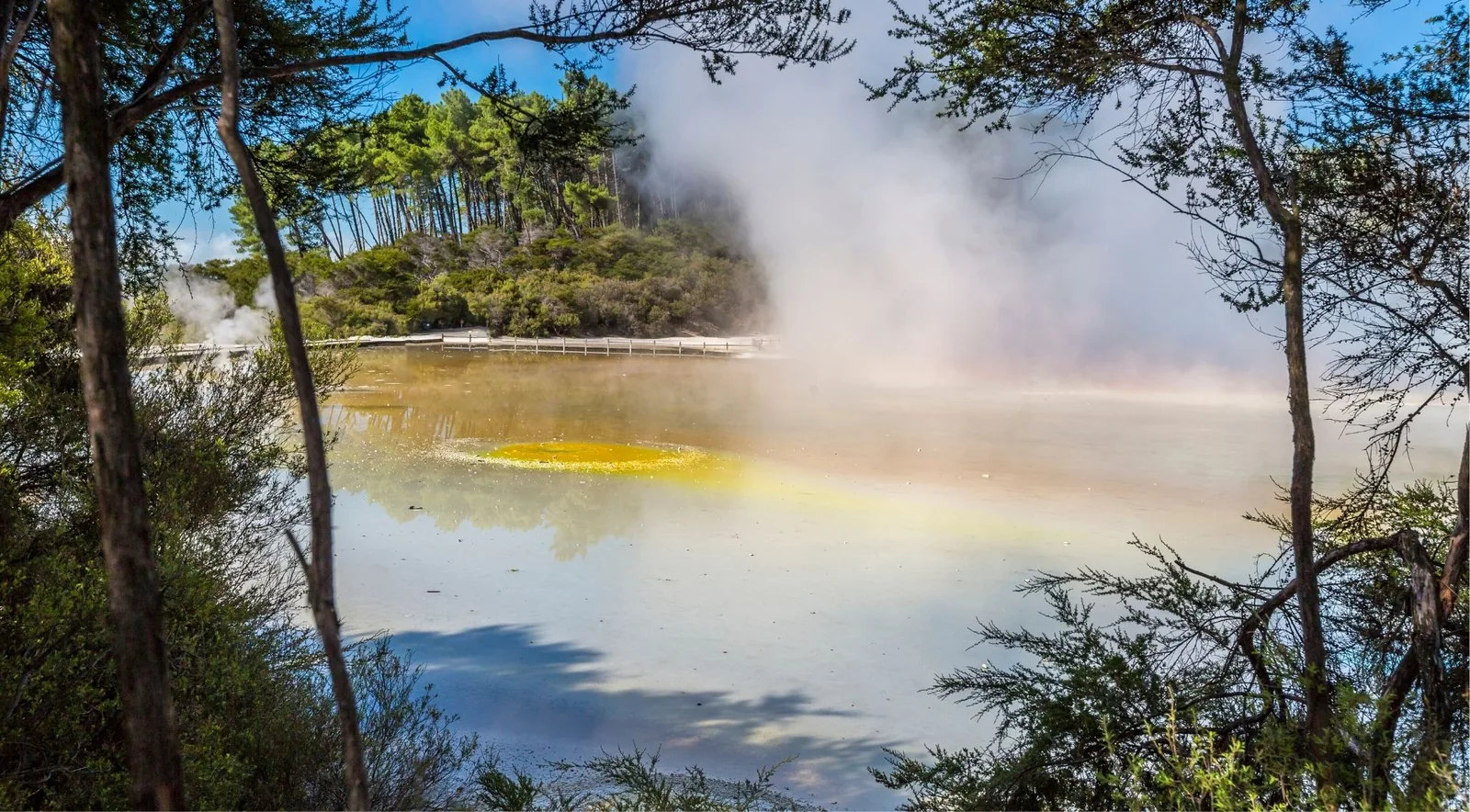 The Champagne Pool seen through manuka scrub, with a yellow sulphur ring visible through the steam