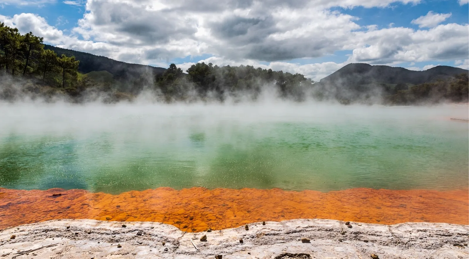 The Champagne Pool at Wai-O-Tapu, its orange antimony rim meeting green water under drifting steam