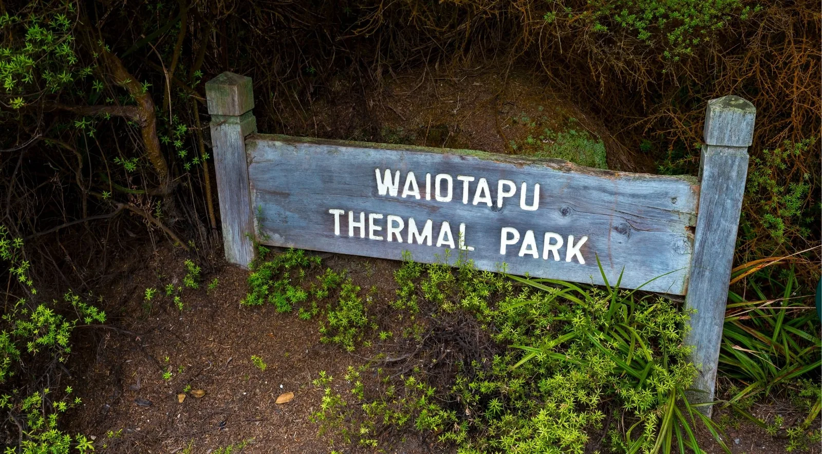 Weathered wooden sign reading Waiotapu Thermal Park set among green bush