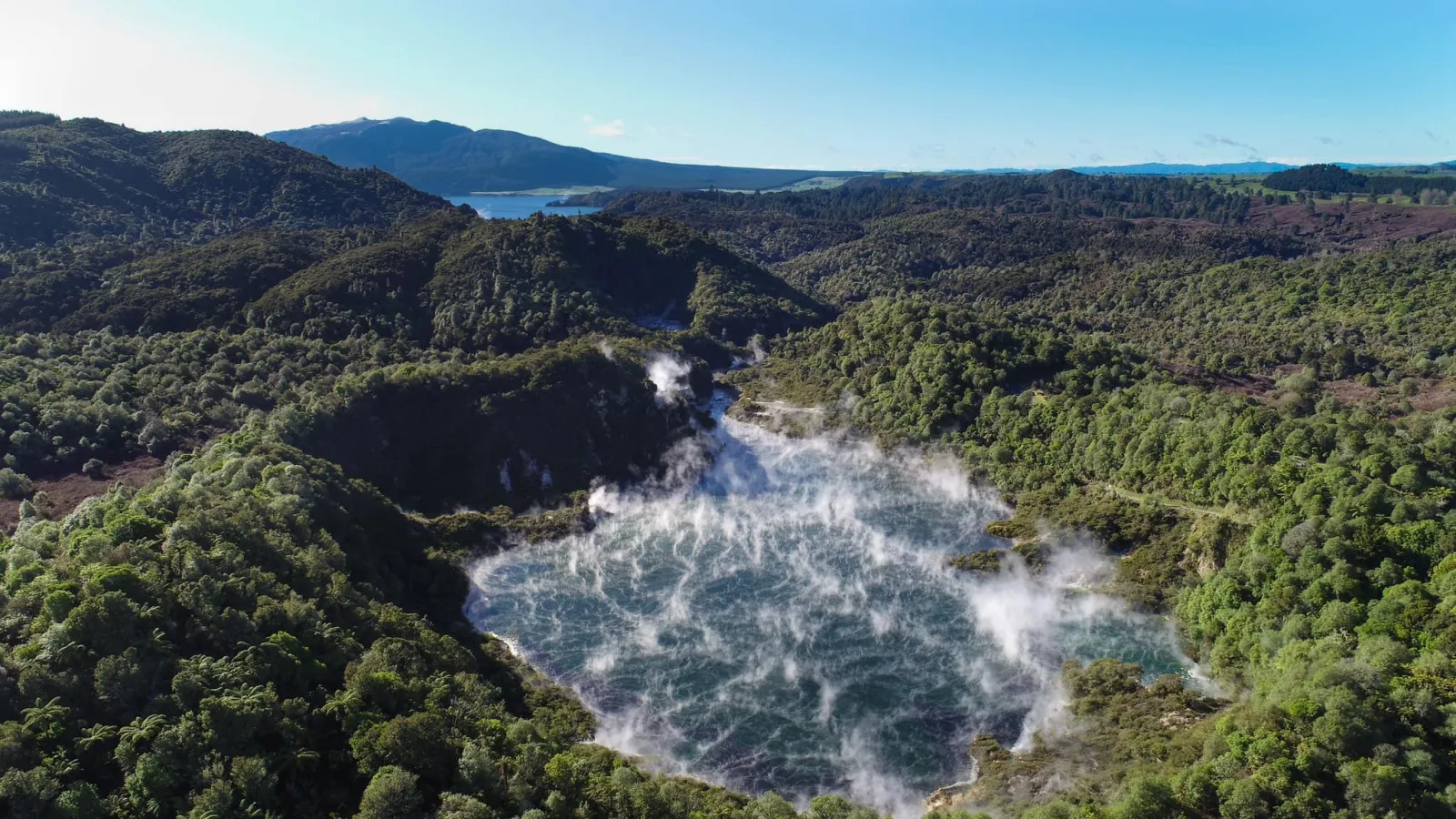 From Rotorua: Wai O Tapu & Waimangu Eco Thermal Morning Tour