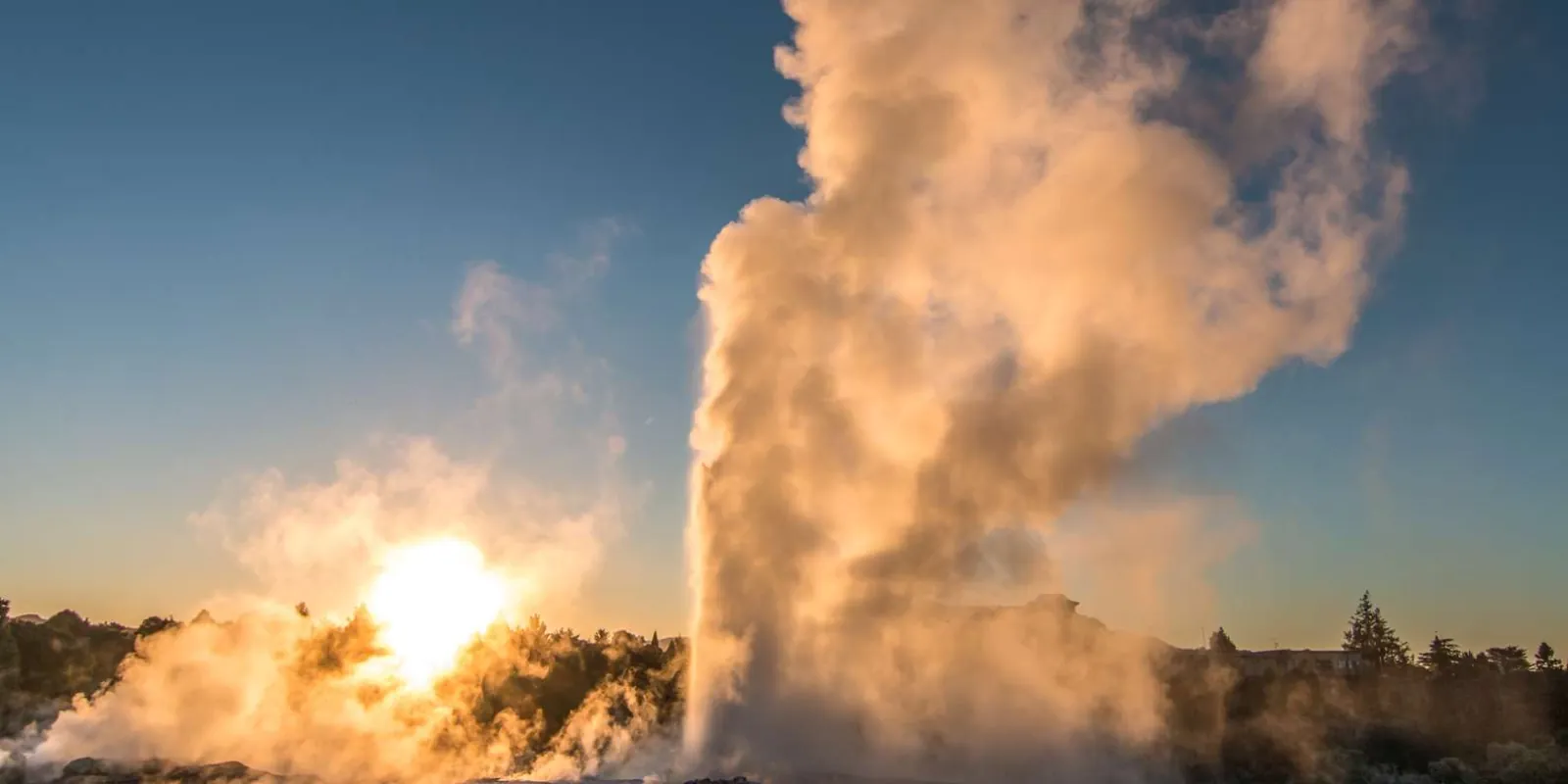 Pohutu Geyser erupting against a low sun at Te Puia, Rotorua