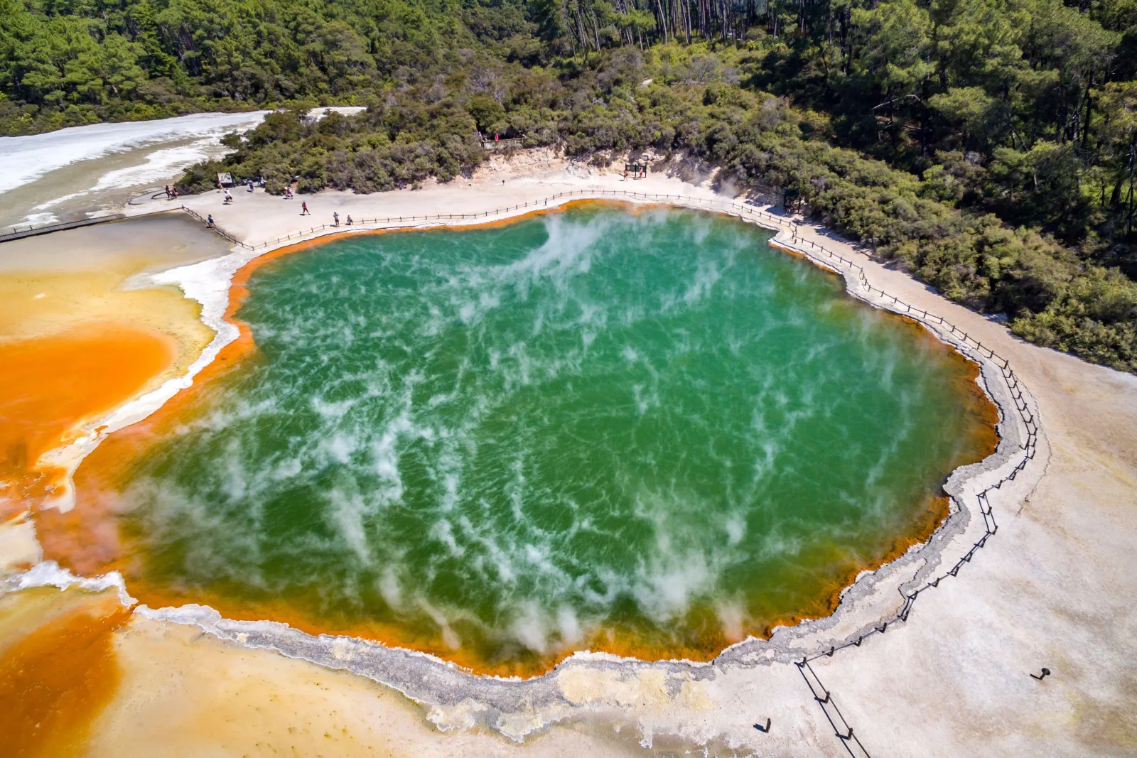 Auckland: Rotorua Highlights Tour + Waiotapu, Lunch & Add-On