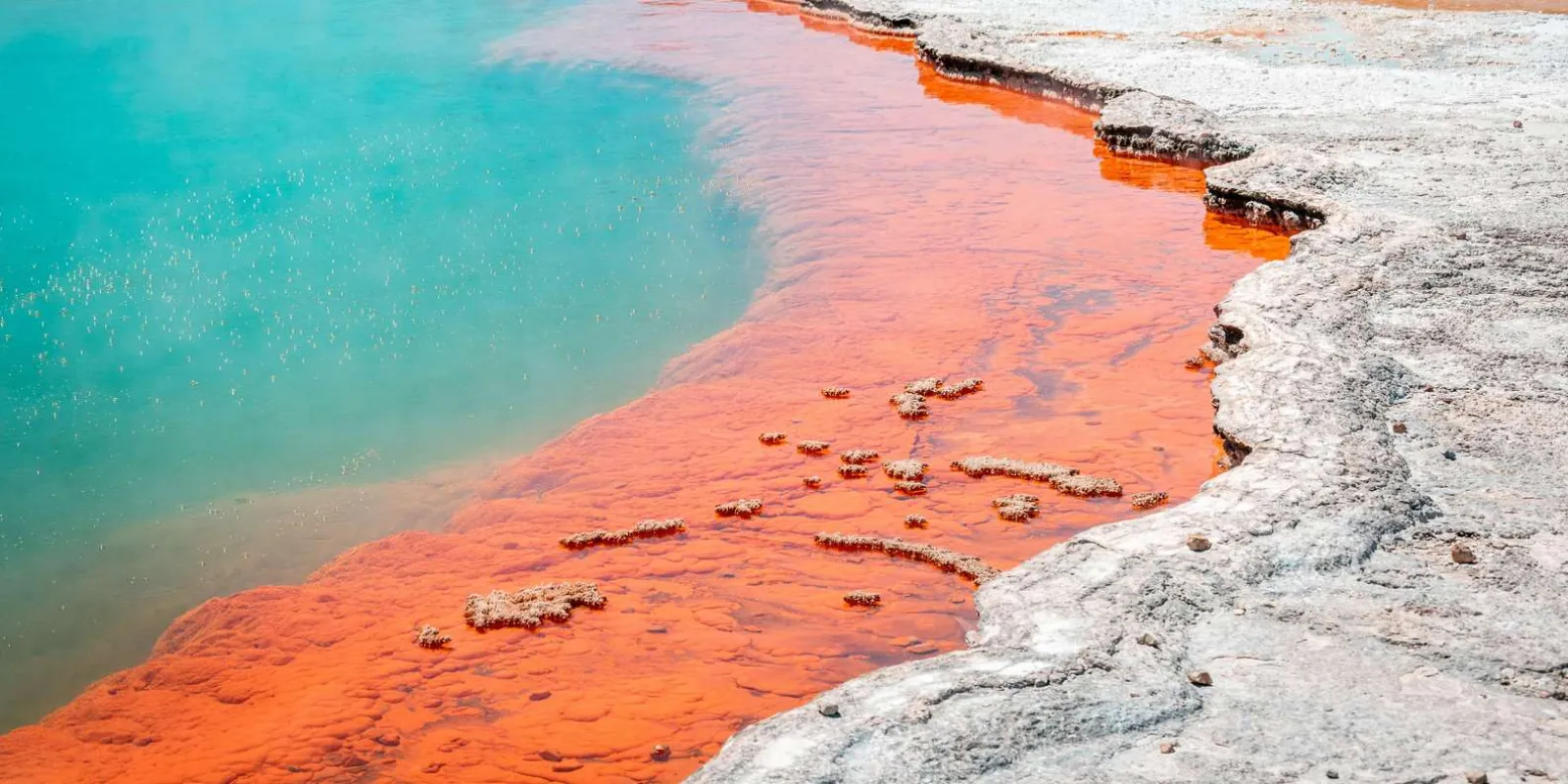 The orange antimony rim of the Champagne Pool meeting its steaming teal water at Wai-O-Tapu
