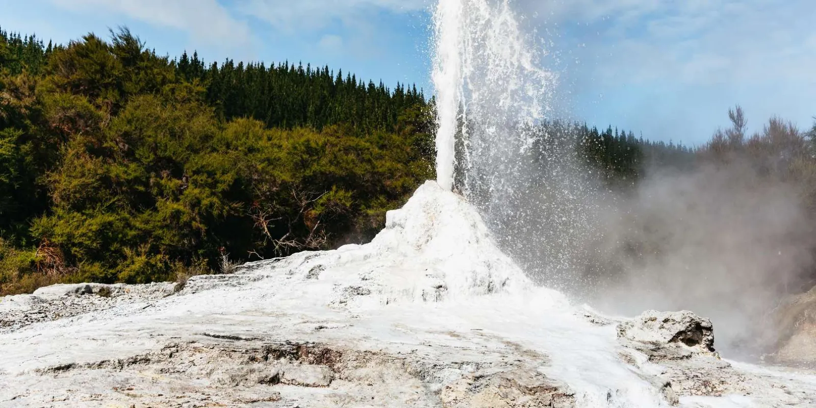 The Lady Knox Geyser erupting in a white column above its sinter cone at Wai-O-Tapu