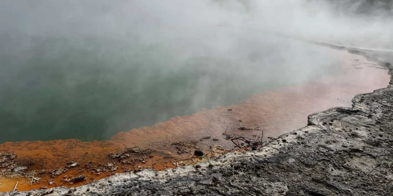 The steaming edge of the Champagne Pool on an overcast morning at Wai-O-Tapu
