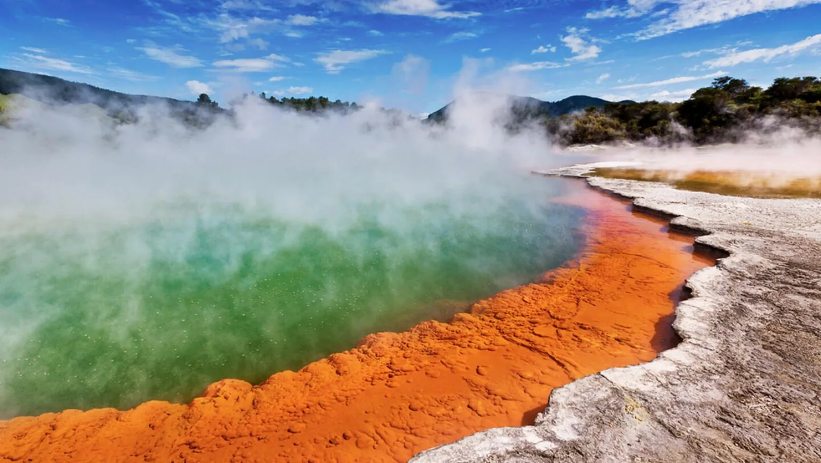 From Rotorua: WAI-O-TAPU Thermal Wonderland - Half Day Tour