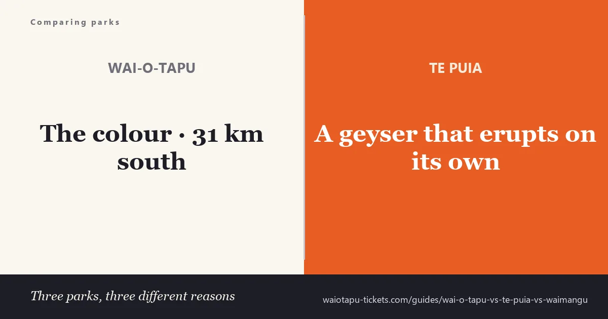 Rotorua's three geothermal parks compared: Wai-O-Tapu for colour, Te Puia for geysers, Waimangu for the volcanic valley